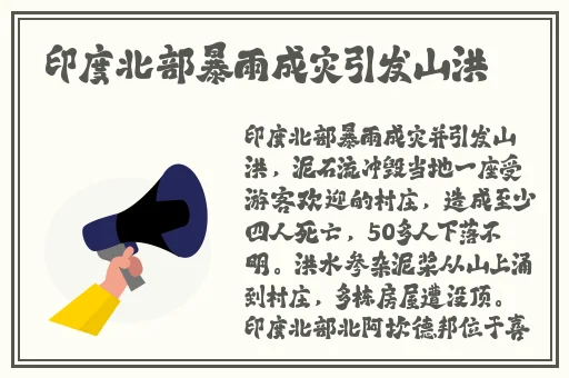 音乐老师的兔子真大